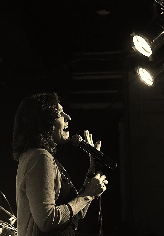 Live singer performing on stage.